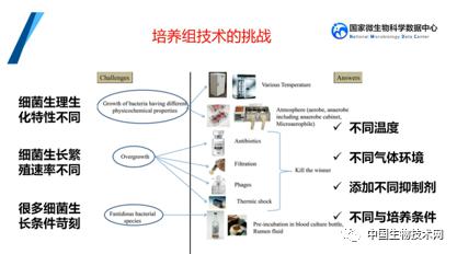 培養(yǎng)組通幽微世界，助力微生物資源大作為——記國家微生物科學數據中心網絡精品課網絡技術開發(fā)